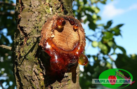 Поймут ли современные дети?