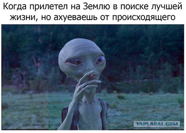 Началось. Трансляция НАСА.