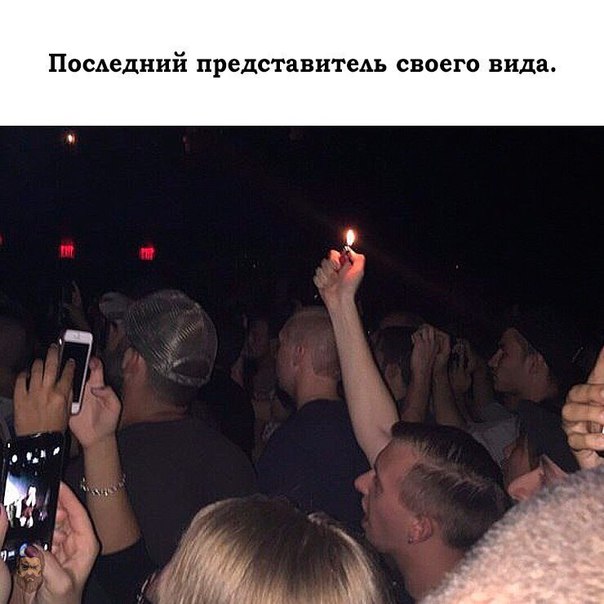Подборка интересных и веселых картинок