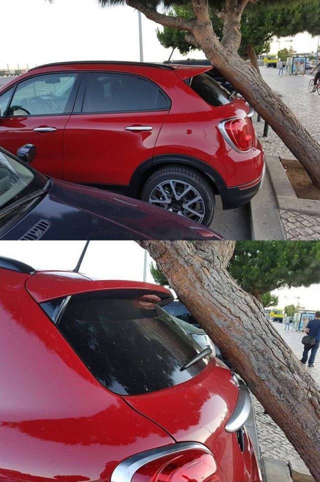 Смешные картинки