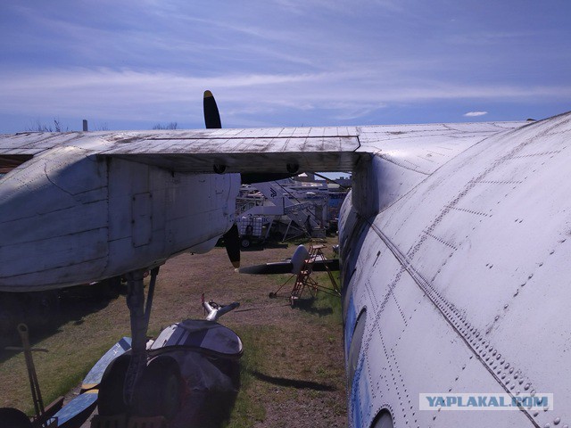 АН-24 в Сибири: тёплый, ламповый, советский