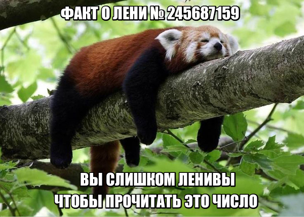 24 картинки с надписями на разные темы-2