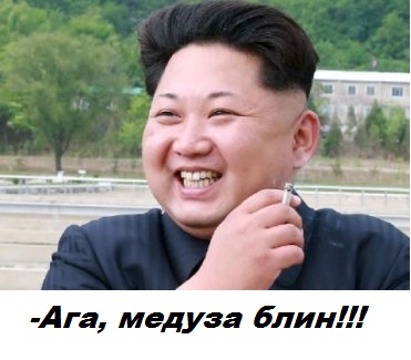 Гигантская медуза