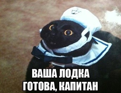 Какие смартфоны на самом деле покупают в России?