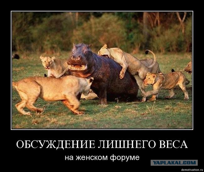 Картинки по запросу о весе картинки юмор