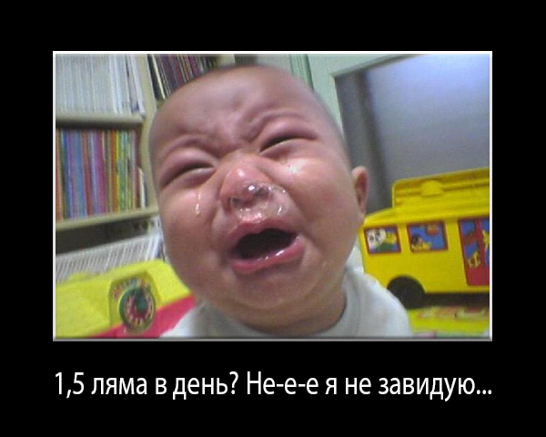 Шоб я так жил! Или "по полтора миллиона в день"