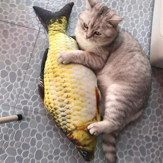 Прикольных котов пост