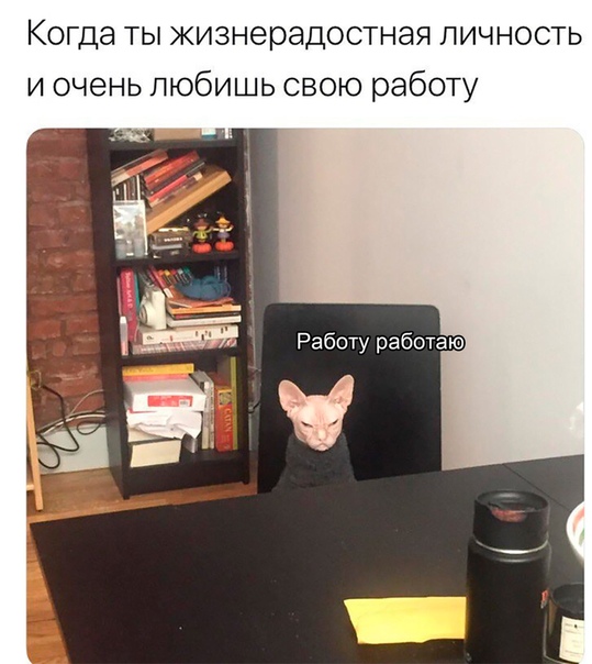 Немного картинок на сегодня