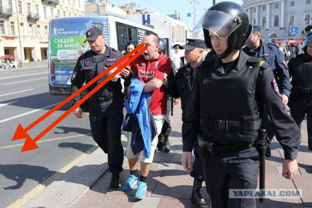 Задержание в Питере