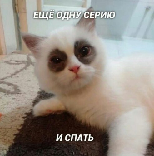 Вонючие ноги
