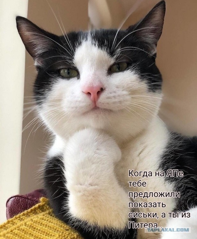 Немного о ЯПе