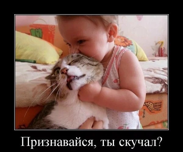 После 50-ти мужчине лучше без жены?
