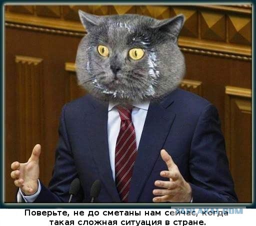 Депутат сравнил с мародёрством просьбы к государству о помощи.