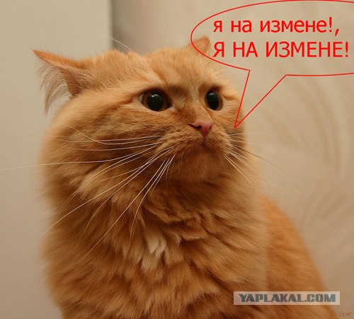 Фотожаба: В рот мне ноги!