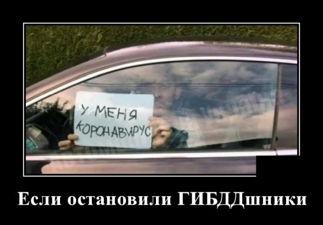 Так себе картинки 29.05.2020