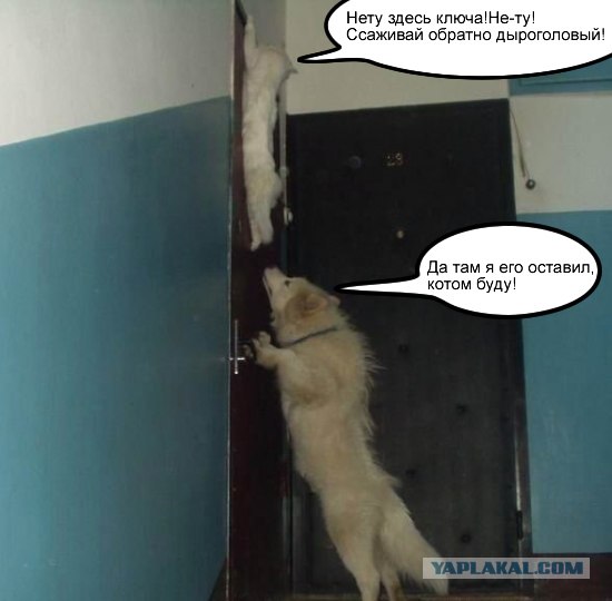 Фотожаба: Загнал сволочь!