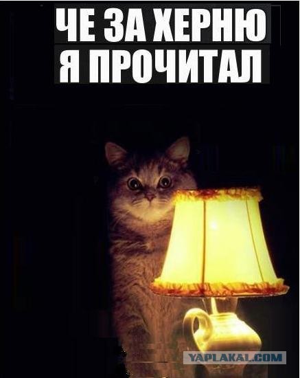 Пассажир курильщика