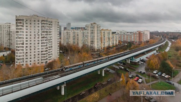 В Москве прекратилось движение троллейбусов. Останется только один троллейбусный маршрут с ретротехникой