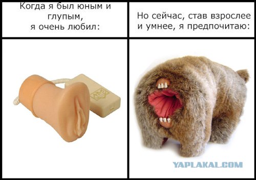 Фотожаба: Когда я был юным и глупым