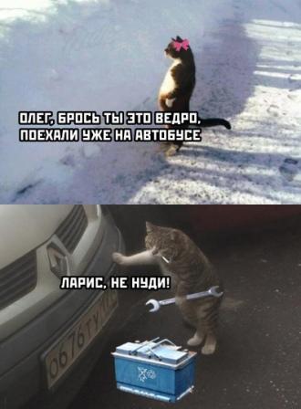 Юмор в картинках 6.12.20