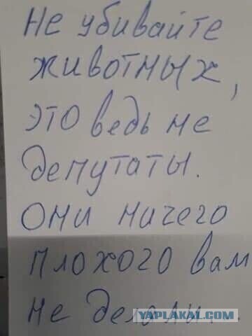 Бредзона 10.02.21