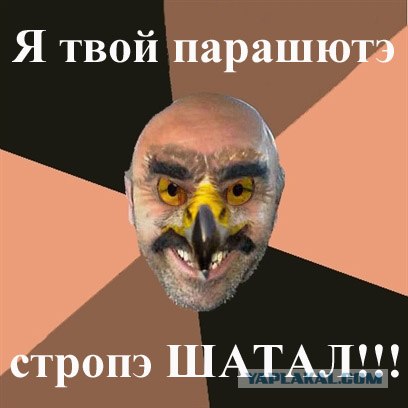 Орел против парапланериста