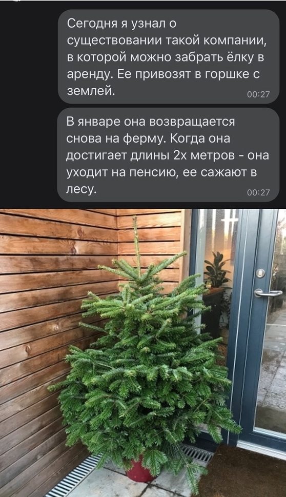 Весёлый полтишок 7.03