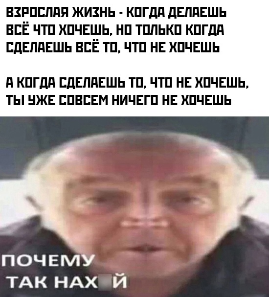 Весёлый полтишок 29.07