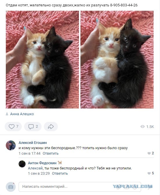 Весёлый полтишок 3.09