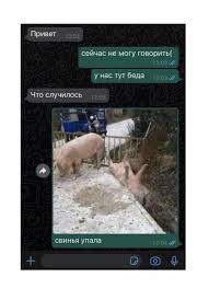 Произошёл внезапный бодипозитив