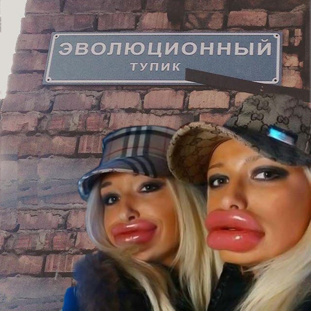 Картинки и мемы для настроения 13.10.2021