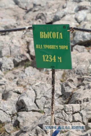 Крым. Евпатория, Ялта... да и вообще на машине