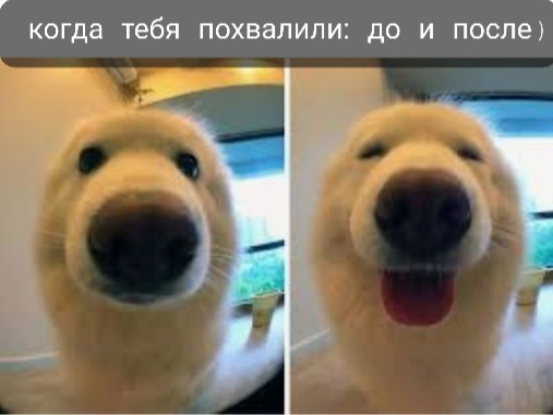 Так себе картинки 10.05.22