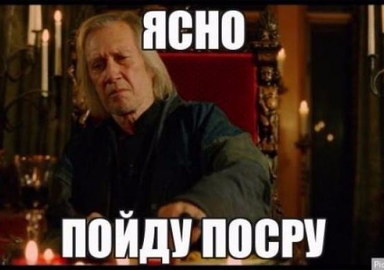 Новый член семьи