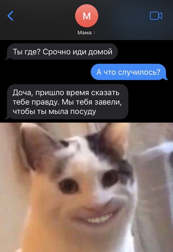 Картинки и мемы, всем хороших выходных