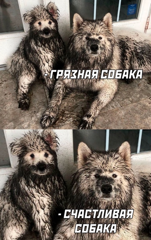 Картинки и мемы, всем хороших выходных
