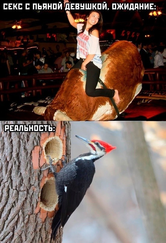 Немного юмора, гуманитарного - 5