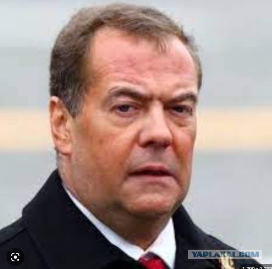 Дмитрий Анатольевич отреагировал