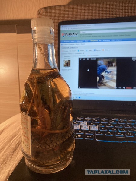 Смелая девушка