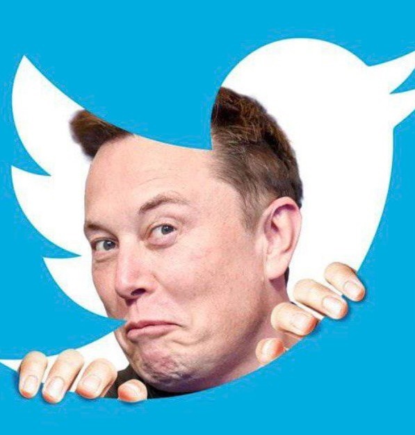 Илон Маск пообещал опубликовать документы Twitter о подавлении свободы слова в соцсети