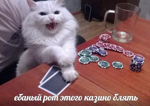 Всего понемногу