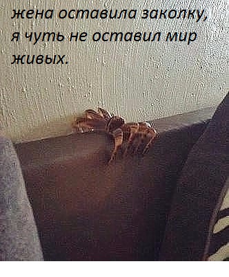 Картинки разные, возможны баяны