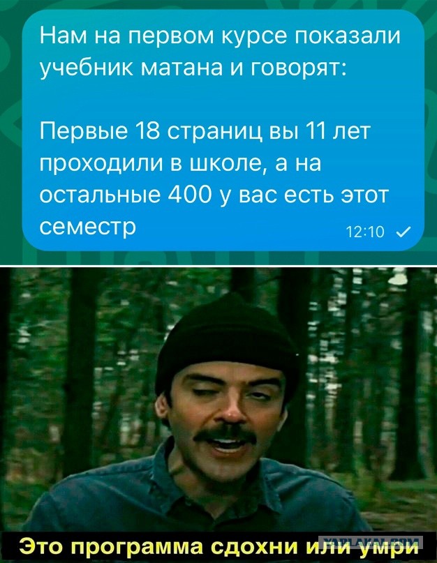 Весёлый полтишок 01.10.23
