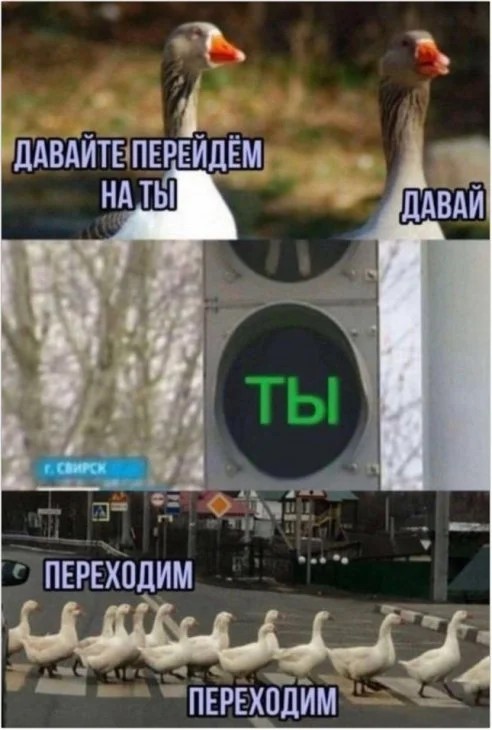 Просто картинки из сети