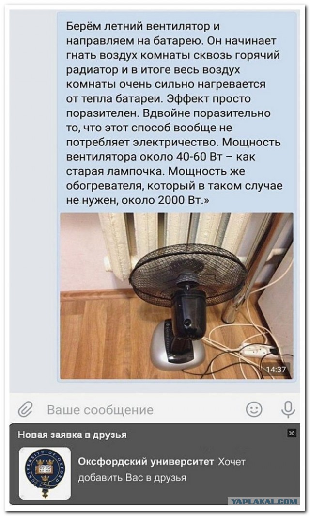 Забавные комментарии из социальных сетей (20.11.23)