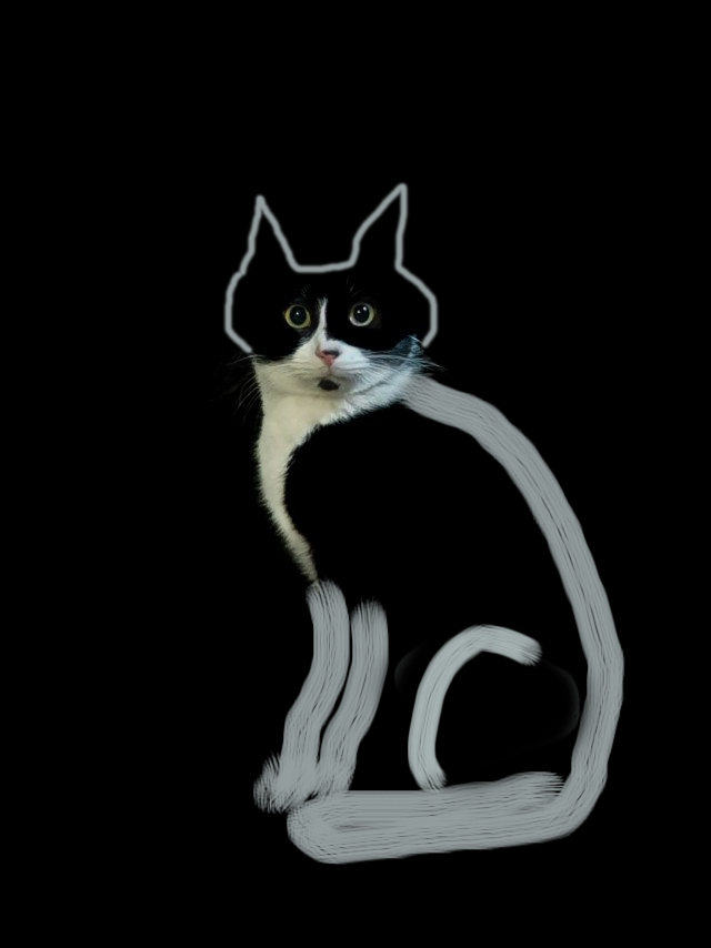Кошкопортрет