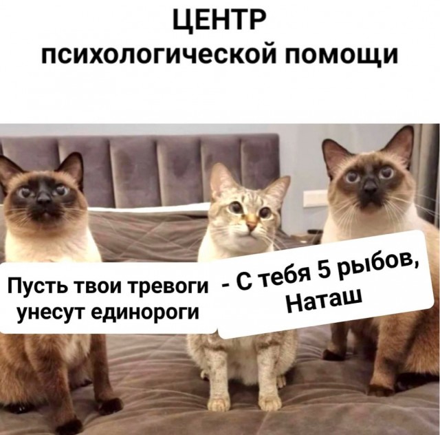 Дурдом - Бояны