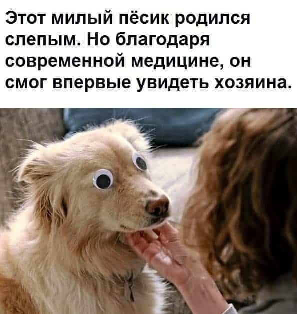 Отряд быстрого деградирования