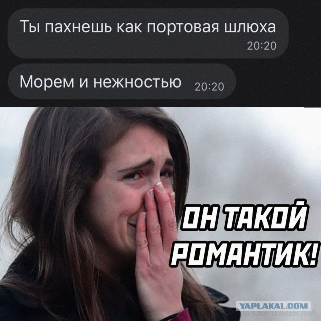 Нуштош 17.01.2025. Чем кажутся совы (s3e2)