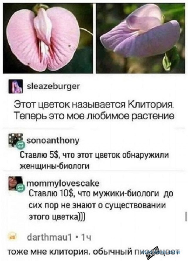 Так себе картинки 10.03.25